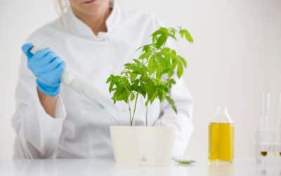MolGen to participate at Crop Innovation & Business Fair in Ghent