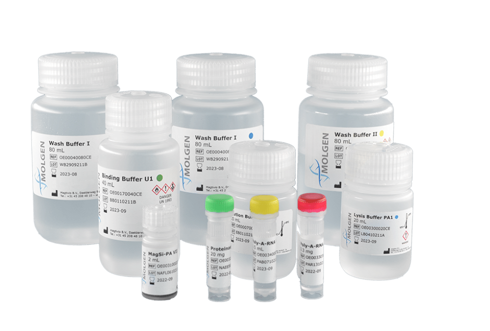 High Quality Dnarna Extraction Kits For Efficient High Throughput Testing Molgen 