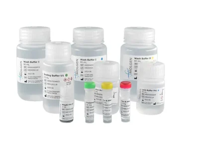 High quality DNA/RNA extraction kits for efficient high throughput testing